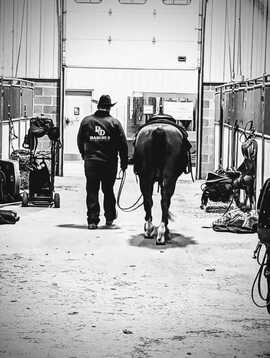 Derek Partridge Horse Trainer NY
