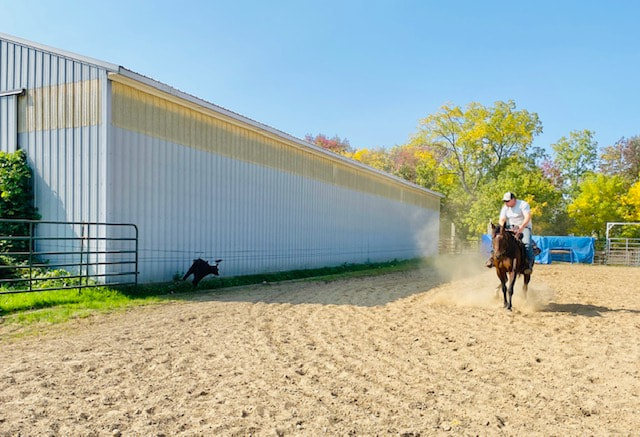 Reining Horse Trainer NY