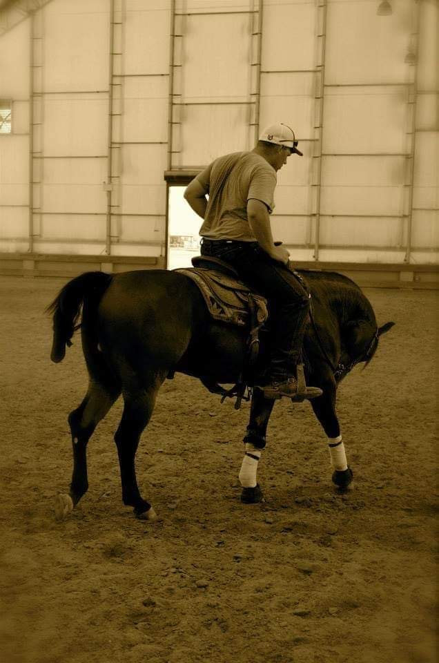 Horse Trainer Derek Partridge