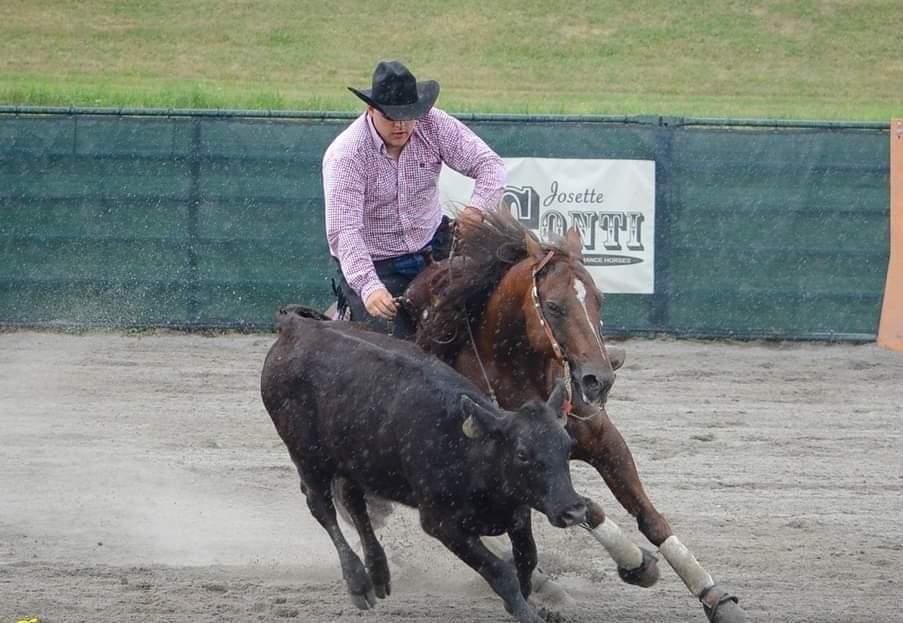 Derek Partridge Horse Trainer